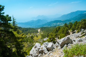 Mountain and green forest with valley on the background, landscape view.