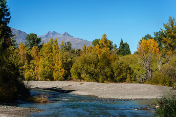 Herbst in Arrowtown