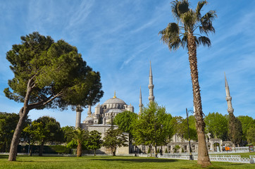 Fototapeta na wymiar Blue mosque with green park, Istanbul, Turkey. Architectural monument. Center of Islam. Cami. Mescit. 