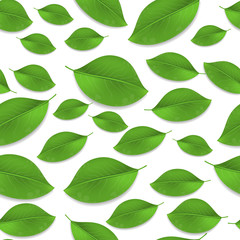 Fototapeta na wymiar Green realistic leaves seamless pattern. Vector