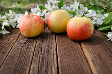 Ripe apples and apple blossom on a wooden background. Free space, side view