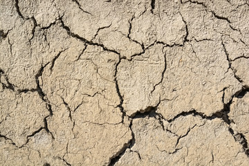Cracked dry land in a desert