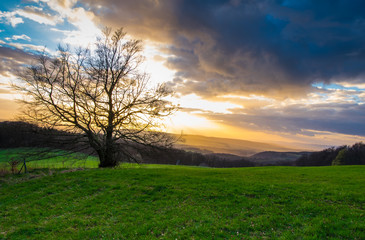 Fototapeta na wymiar The landscape of a field at sunset