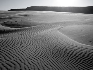 Dunes Expanse