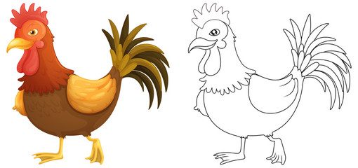 Animal outline for rooster