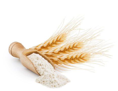 Whole grain wheat flour isolated on white