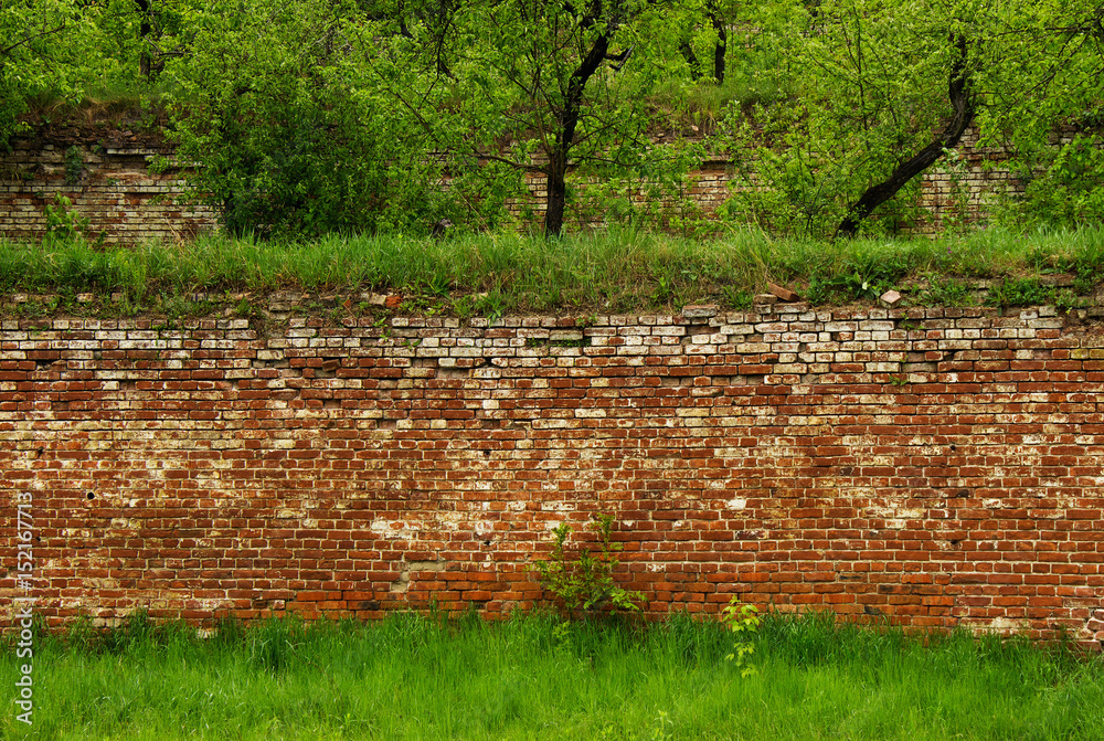 Wall mural old brick wall background with green grass.