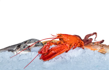 Fresh seafood isolated on white background