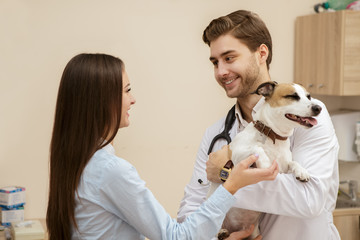 Beautiful young woman at the vet examination with her dog