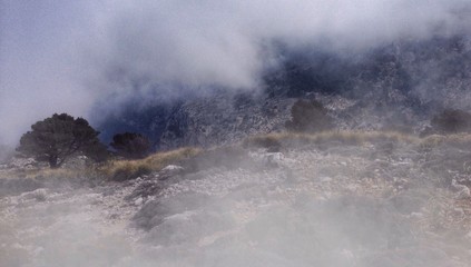 Fog in the mountains, Majorca, Spain