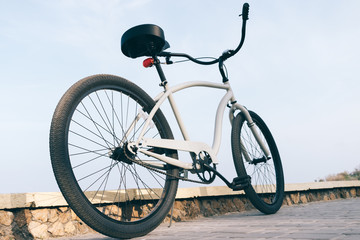 Fototapeta na wymiar Gray male steel cruise bike outdoors