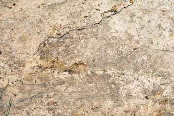 Texture of the old concrete wall with a damaged surface and small cracks, on some parts of the wall moss grows