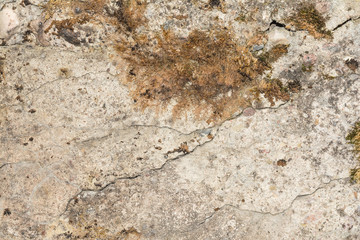 Texture of the old concrete wall with a damaged surface and small cracks, on some parts of the wall moss grows