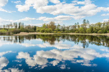 Obraz premium Blue lake, the sky reflects the surface of the water with white clouds, on the horizon a dry reed and the forest grows from deciduous and needy tree species, the sunny spring landscape