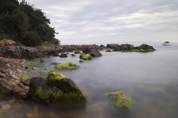 Obraz premium Long Exposured Rocky Beach with Green Seaweeds On The Rocks 