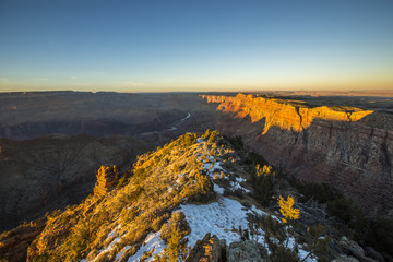 Obraz premium View of Grand Canyon South Rim.