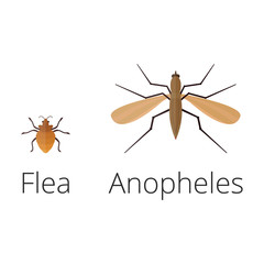 Colorful insects icons isolated wildlife wing detail summer worm caterpillar bugs wild vector illustration.