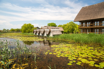 Landscape in Danube Delta, Romania.