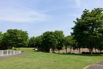 多摩の新緑