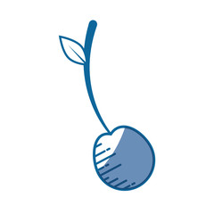 cherry fruit icon over white background. vector illustration