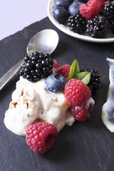 yogurt with fruits of the forest, cuisine and creative desserts