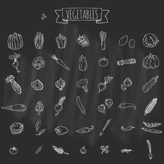 Hand drawn doodle vegetables icons set Vector illustration seasonal veggies symbols collection Cartoon different kinds of vegetables Various types on white background Sketchy style