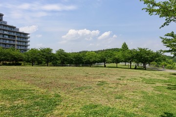 青空と公園