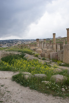 Ancient columns and capitals of Roman ruins in Jerash Jordan with the city in the background, gray sky above and a wildflower lined path in the foreground.