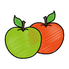 apple fruits icon over white background. colorful design. vector illustration