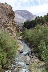 Small, clear watered stream flowing from Ma'in Hot Springs past banks with lush vegetation and rugged mountains toward the Dead Sea. Blue sky with clouds is above.