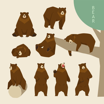 bear various poses set 