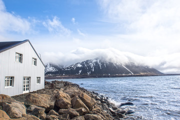 Air islandais © alexanephoto