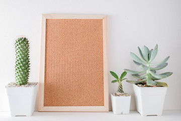 succulents or cactus in concrete pots over white background on the shelf and mock up frame photo