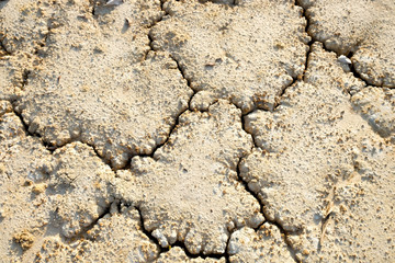 abstract background rift of soil Climate change and drought land