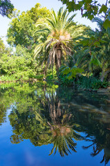 Obraz premium Tropical nature background with lake