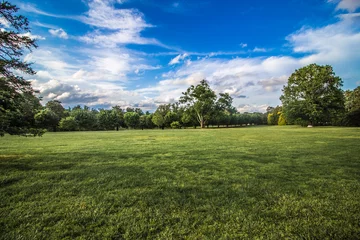 Gordijnen Blauwe luchten Groen gras © MorrisetteMedia