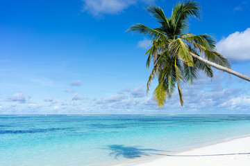 Obraz na płótnie Canvas beautiful tropical beach