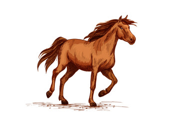 Naklejka na ściany i meble Horse racer or equine races vector sketch symbol