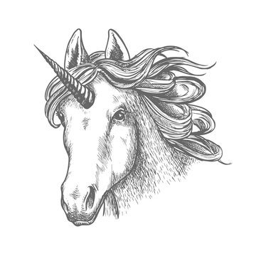 Unicorn or fairy tale animal head with horn