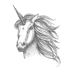 Unicorn mythic horse vector sketch