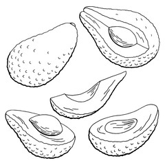 Avocado fruit graphic black white isolated sketch illustration vector
