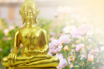 Buddhism statue ,field of flower and sun in morning