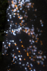 blurred lights in the night..