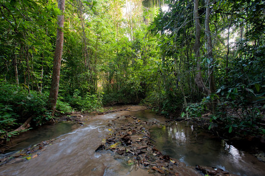 Fototapeta Landscape rain forest National Park in Thailand