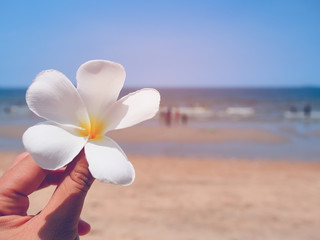 Woman hand holding plumeria  flower with sea and beach background.