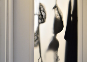 Fototapeta na wymiar Blurred view of hanging lingerie through bathroom window