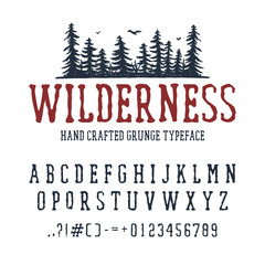 Hand drawn Wilderness font. Latin alphabet vector letters, numbers, and signs. PIne trees vector illustration.