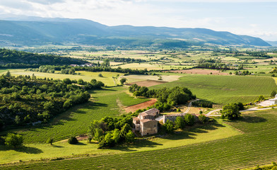 france provence  landscape vine