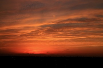鮮やかに染まるスジ雲と都会の街並み