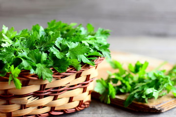 Naklejka premium Parsley sprigs in a wicker basket and a wooden board. Garden parsley plant cultivated as a herb, a spice and a vegetable. Natural source of flavonoid and antioxidants, folic acid, vitamin K, C, A